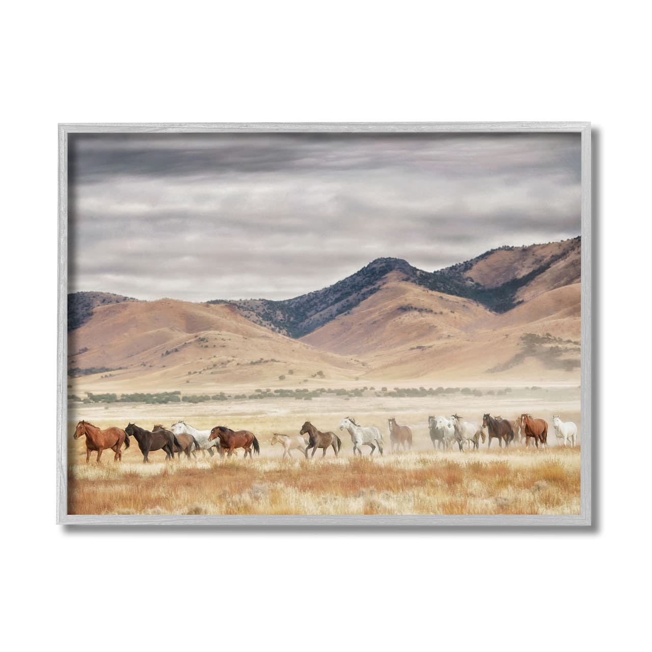 Stupell Industries Wild Horses Roaming Across Western Landscape in Gray Frame Wall Art